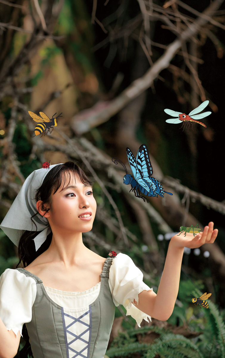 Cinderella キービジュアル