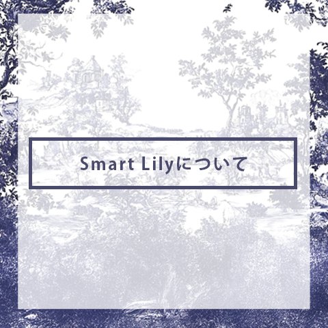 Smart Lilyについて