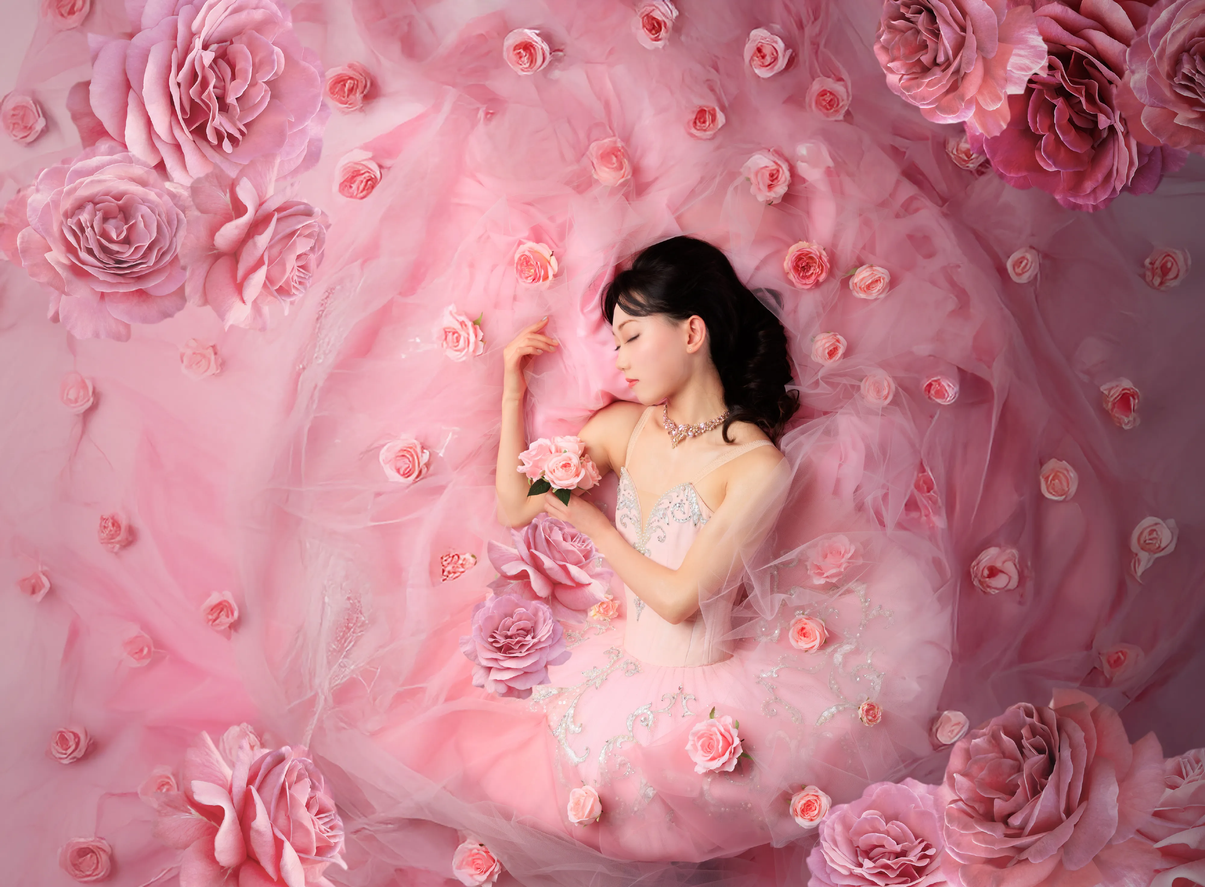 Sleeping Beauty キービジュアル 1